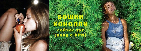 СК Бронницы