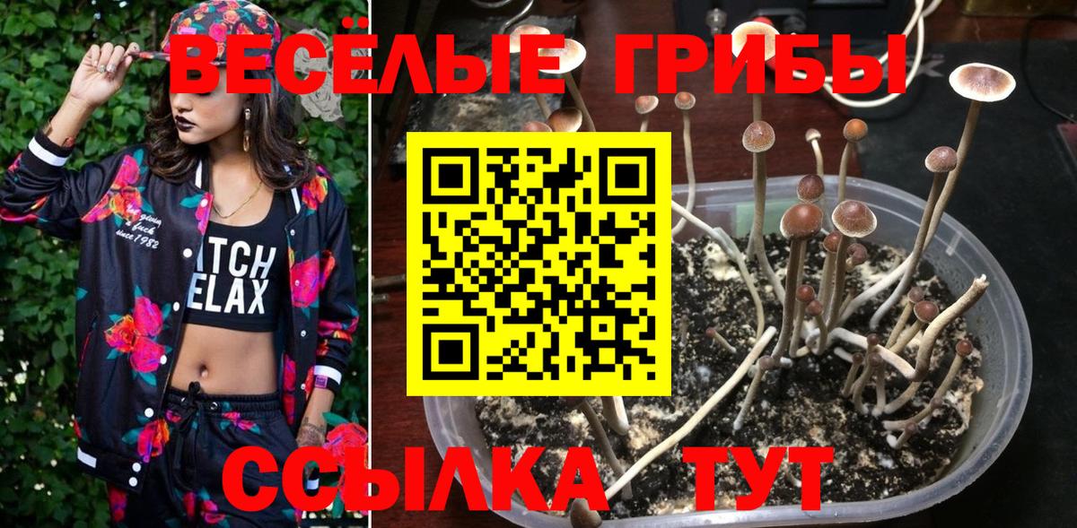  Cocaine Бугульма