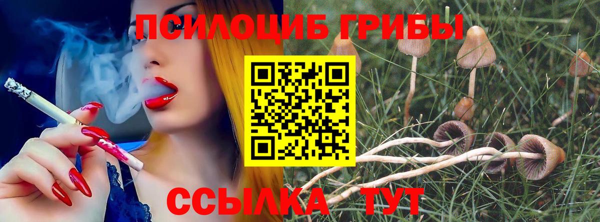 Псилоцибиновые грибы ЛСД Бугульма