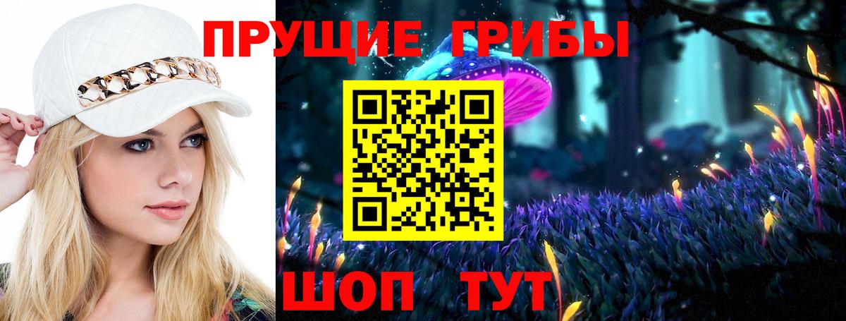 Псилоцибиновые грибы Cubensis  наркотики  Псилоцибиновые грибы GOLDEN TEACHER  Бугульма 