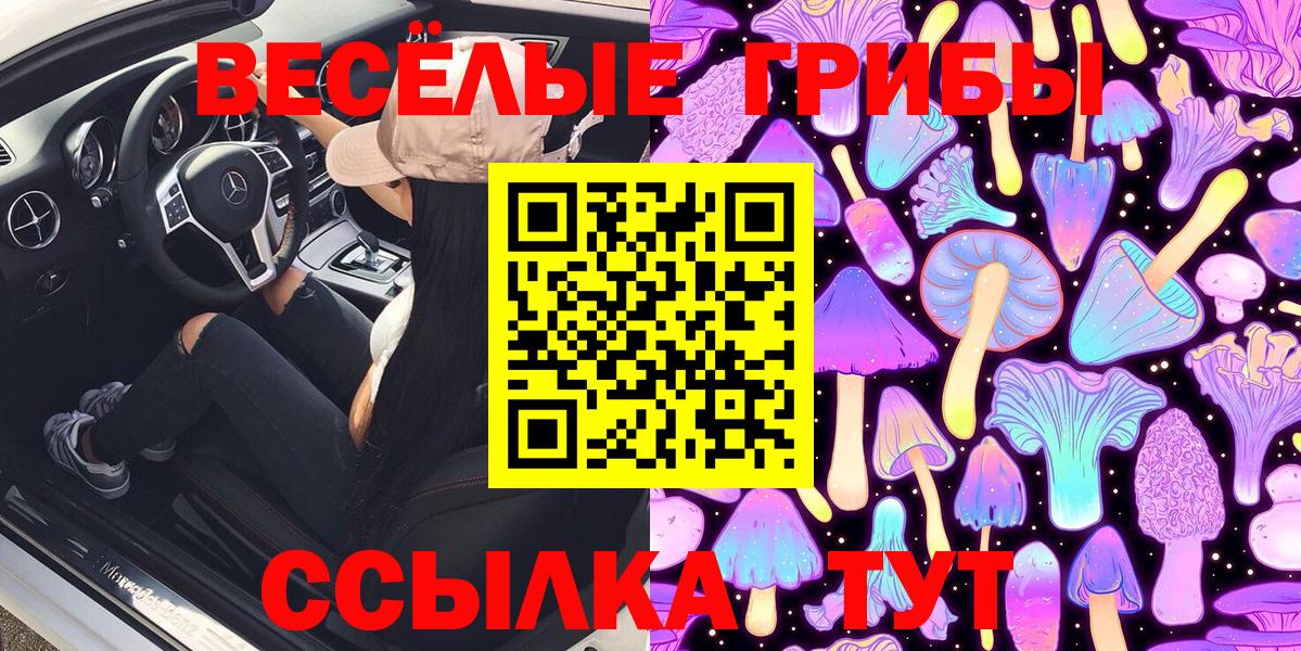 Псилоцибиновые грибы прущие грибы Бугульма